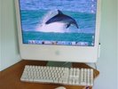 Apple iMac 20