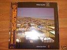 PINK FLOYD A MOMENTARY LAPSE OF REASON JAPAN CBS SONY