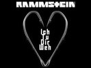RAMMSTEIN ICH TU DIR WEH BLACK VINYL 12