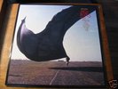 PINK FLOYD  High Hopes   Blue vinyl   LTD EDT UK  MINT-