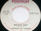 PRIVATE texas GARAGE psych 45/LAVENDER HILL EXPRESS/?