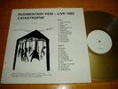 RUDIMENTARY PENI LiveLP GOLD WAX 43 made CRASS KBD Punk
