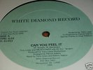 TERRY LEWIS WILDFLOWER can you feel it 12 PATRICK ADAMS