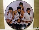 BEATLES CASUALTIES PICTURE DISC PROMO ONLY CAPITOL EMI