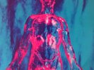 Nirvana - Sliver / Dive 7