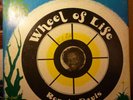 RARE Ronnie Davis Roots DUb album WHEEL of LIFE ja