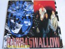 RADICAL STUFF HARDASWALLOW DOPPIO LP VINILE LISTEN mp3