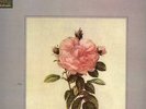 L'OISEAU LYRE/BACH SUITES 4, 5 & 6/ JEAN MAX CLEMENT
