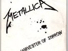 Metallica - Harvester Of Sorrow 7