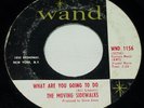 THE MOVING SIDEWALKS WAND 45 RECORD TEXAS PUNK PSYCH