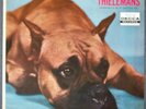 TEFTELLER 50's Jazz Harmonica Toots Thielemans Promo DG