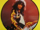 LED ZEPPELIN.1973 INTERVIEW PICTURE DISC.ENGLAND LP