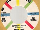 PATSY RAYE & THE BEATNIKS 45 PROMO  - BEATNIKS WISH