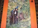 GANDALF THE GREY - THE GREY WIZARD AM I/GWR US 72 ORIG