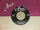 TERRY BLACK Garage 45 on ARC Poor Little Fool V.G.+++