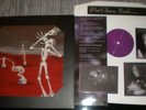 VED BUENS ENDE - WRITTEN IN WATERS Promo DLP Ulver