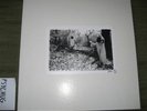 SUNN O))) White Box 4lp set drone Boris Isis Nigel Rare