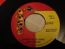 Rod Taylor Every Little Thing 7