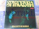 SPIROGYRA 