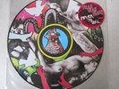 RARE Yeah Yeahs FEVER TO TELL PICTURE LP Limited OOP