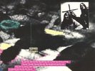Nirvana Molly's Lips Sub Pop Singles Club Black Wax 7