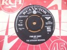 The African Beavers - Find My Baby 1965 UK 45