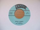 The Skeptics - Apple Candy c/w Ride Child 1966 USA 45