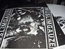 Muslimgauze Buddhist On Fire LP Orig Pressing Recloose