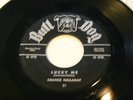 CHANCE HALLADAY-LUCKY ME-BELGIUM/POPCORN-BULLDOG 45 51