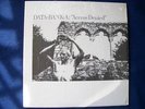 DATA-BANK-A Access Denied LP Minimal Synth EBM Klinik
