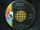 UNRELATED SEGMENTS Where You Gonna Go PSYCH/GARAGE 45