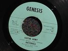 RATIONALS Guitar Army NM- DETROIT GARAGE Psych Punk 45