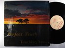 PERFECT TOUCH Touching You LP SHRINK modern soul RARE