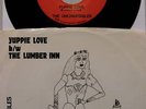 Unchartables RARE MINT POWER-POP '85 powerpop **HEAR**