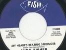 ANDY FISHER: My Heart's Beating Stronger (rare soul vinyl 45)
