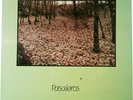 PASAJEROS – DARK  ROCK,COLD WAVE Decima Victima
