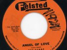 Echos-Angel Of Love-Felsted Doo Wop 45 