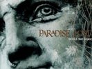 PARADISE LOST Seals The Sense LP RARE