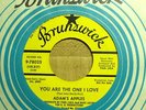 NORTHERN Adam's Apples You Are The One I Love 45 MINT 