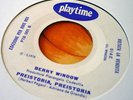 BERRY WINDOW - Presitoria INSANE GARAGE FUZZ FUNK\BEAT