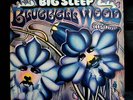 BIG SLEEP BLUEBELL WOOD LP MINT 1972 ON GLOBAL TOP RARE