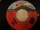Little Devon Trash & Bruck 7