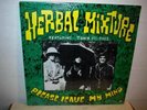 HERBAL MIXTURE  Leave My Mind  LP   psych   Groundhogs