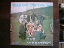 THE VIBRATORS retarded private honkey lounge funk HEAR