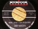 1964 Soul 45 - JIMMY RADCLIFFE  What I Want - MUSICOR