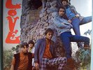 LOVE w/ARTHUR LEE FIRST ALBUM MINT ORIG '65 ELEKTRA LP