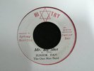 Hi Try Junior Dan-Mr.Big Shot/Rockers/A.Pablo/Listen