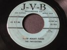 Twilighters on JVB   rare Detroit doo wop / R&B 45 HEAR