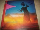 Amon Duul II YETI psych prog rock 2 LP set Liberty VG++