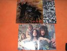 PROTECTOR - URM THE MAD - FIRST ORIGINAL PRESS  RECORD
